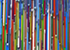 Visual artist